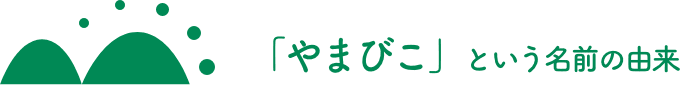 「やまびこ」という名前の由来