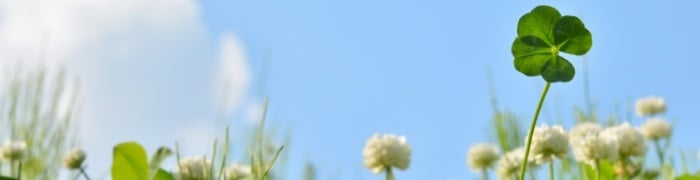 ごあいさつ